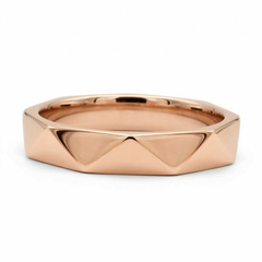 Vicenzo (Alianza Facetada V)