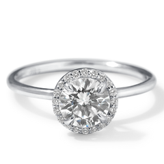 Toulouse (Montura Halo Solitario)