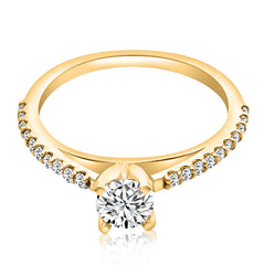 Avenue Pavé (Montura Pavé Catedral)