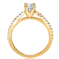 Avenue Pavé (Montura Pavé Catedral)